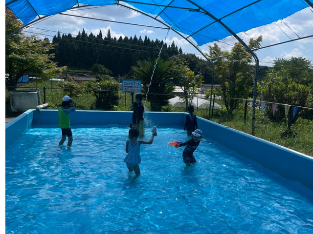夏季は期間限定で無料プールを解放いたしております。水深が浅いので小さなお子様でも安心。_マルタ園
