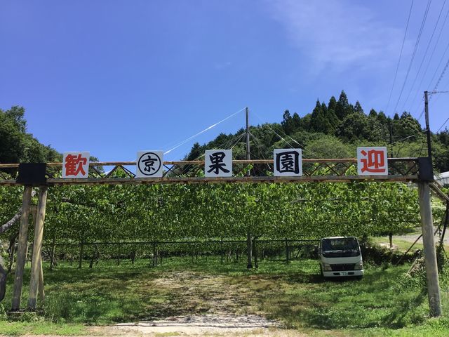 マル京果園