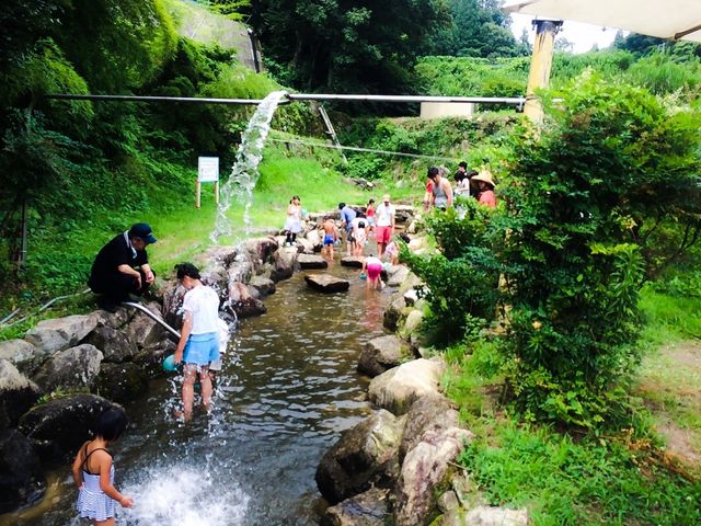 マル京果園