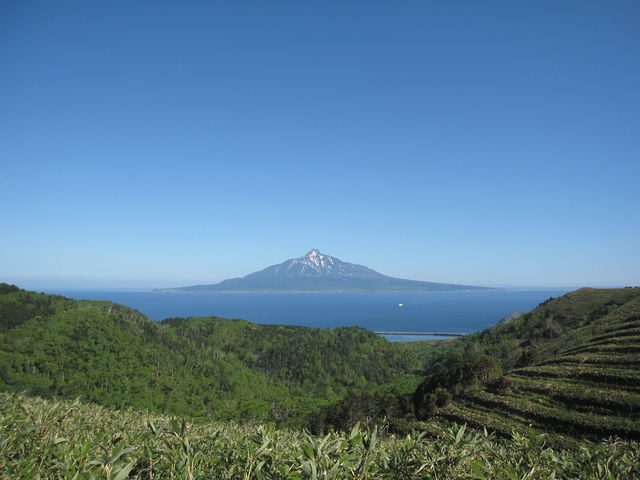 ウスユキ群生地コース、付近から利尻島を望む_礼文ガイドサービス