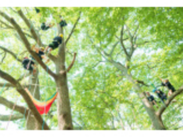 いのちが躍動する新緑タイム_MotherTreeふぉーらむ