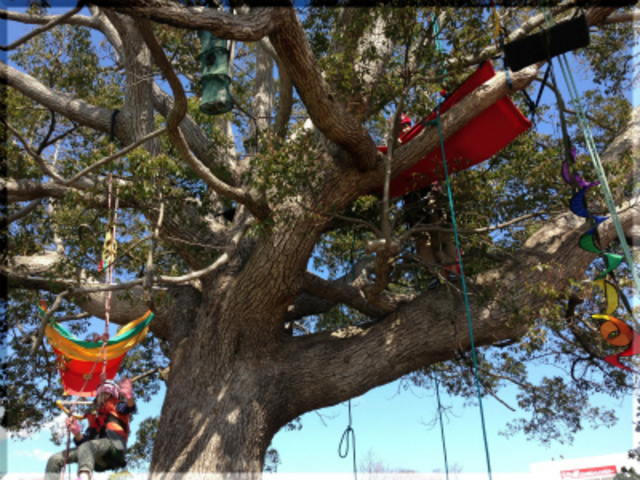 イベントでの風景_MotherTreeふぉーらむ