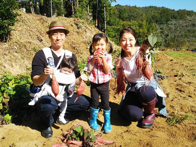 芋ほり体験も可能!!(別料金)_ヤマサ園