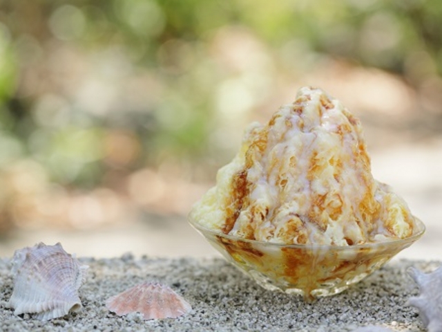ハワイアンシェイブアイス一押しのフレーバーはプリン味です。
ひなたま特製のプリンを使用してます。_どんぐりの森 パークゴルフ
