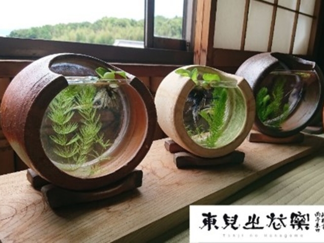 めだか鉢_東児の花窯工房