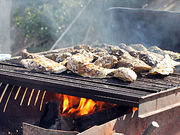 やま栄水産の写真3