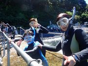 N.P.O パパラギ海と自然の教室の写真4