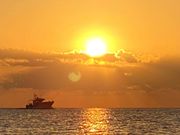 海あしび(海うさぎ丸)の写真4