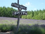 千鳥ハイヤーの写真3