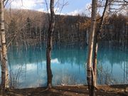 千鳥ハイヤーの写真4