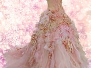 フォトスタジオサカモトの写真4