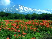 桑ノ木台湿原の写真1