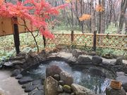 温泉ペンション メリーキングスの写真3