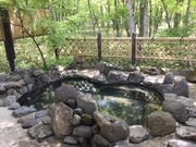 温泉ペンション メリーキングスの写真4