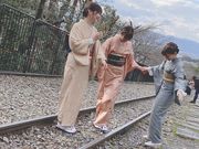 京都彩スターの写真4