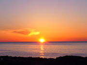 ダイビング シュノーケリング カシマカンコーの写真3