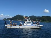 ダイビング シュノーケリング カシマカンコーの写真2