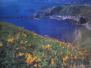 礼文ガイドサービスの写真4