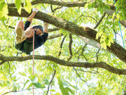 MotherTreeふぉーらむの写真2