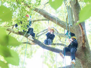 MotherTreeふぉーらむの写真3