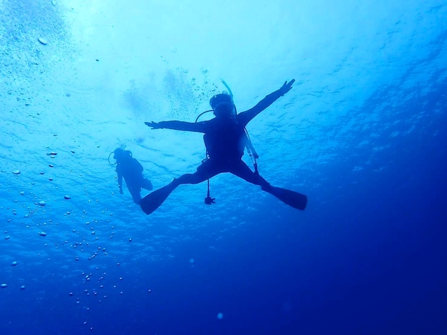 青い海を独り占め〜!_オープンゲート宮古島