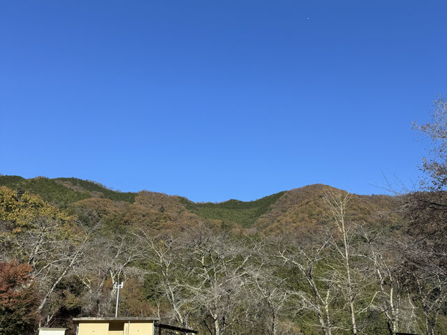 CARM MOUNTAIN AKIYAMA