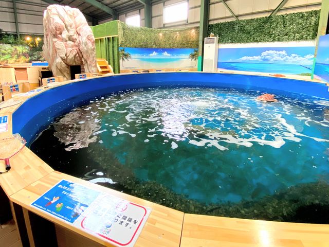 ブルーオーシャンかいすいぎょつり_釣って見つけるぼうけんの国 湘南釣堀
