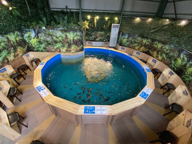 ジャングルリバーねったいぎょつり_釣って見つけるぼうけんの国 湘南釣堀