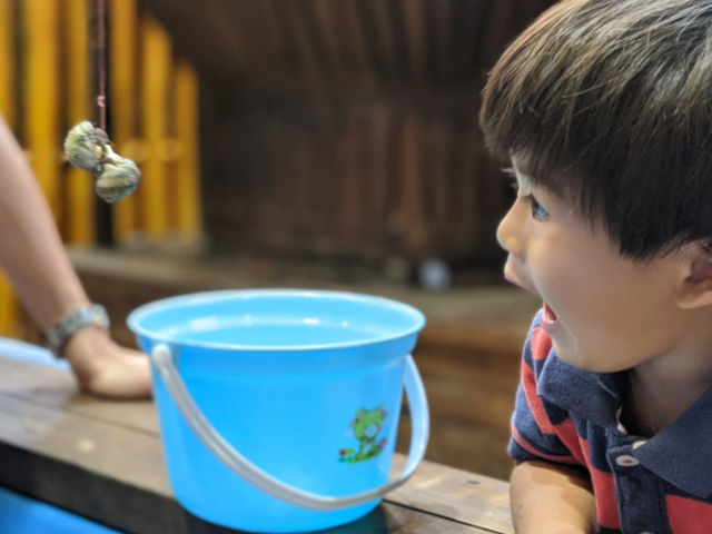 小さなお子様もOK!_釣って見つけるぼうけんの国 湘南釣堀