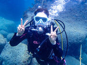 えちぜんログの写真3