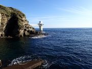 勝浦ダイビングサービスの写真4