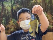 釣って見つけるぼうけんの国 湘南釣堀の写真2