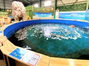 釣って見つけるぼうけんの国 湘南釣堀の写真3