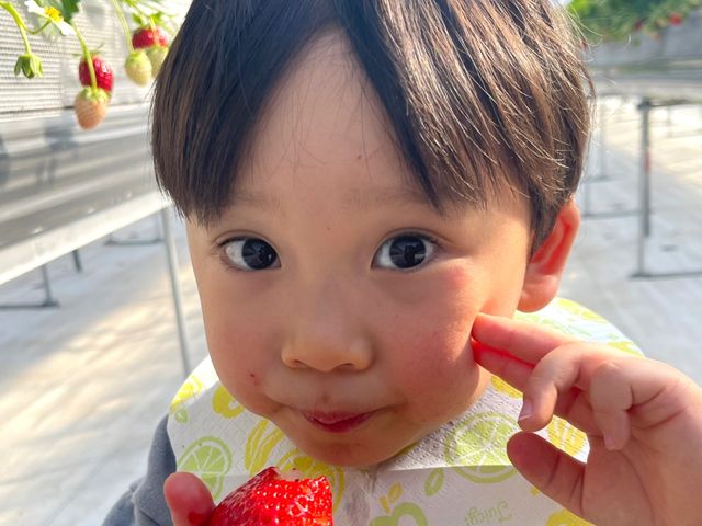 1棟貸切りで、お子様連れも安心してゆったり楽しめる♪_フルーツフィールド鳥取砂丘