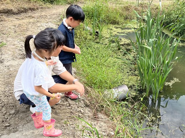 ぶどう園の周りでは虫取りや自然探検ができます☆_夕日の丘観光農場(柏原市観光ぶどうセンター横尾支部)