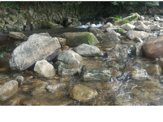 佐藤農園