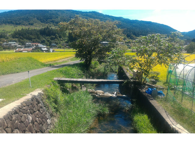 佐藤農園