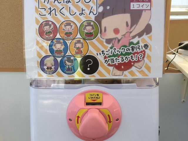 いちご狩りへお越しの3歳から小学生未満のお客様は当園オリジナル缶バッジが入ったガチャガチャができますよ_くだもんちたむら
