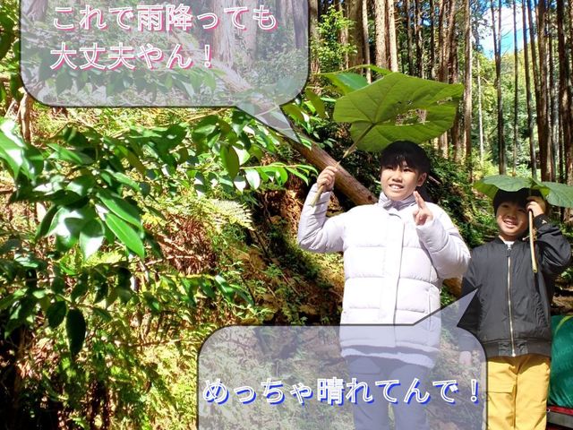 神社の森を散策!_ワイルドウインド