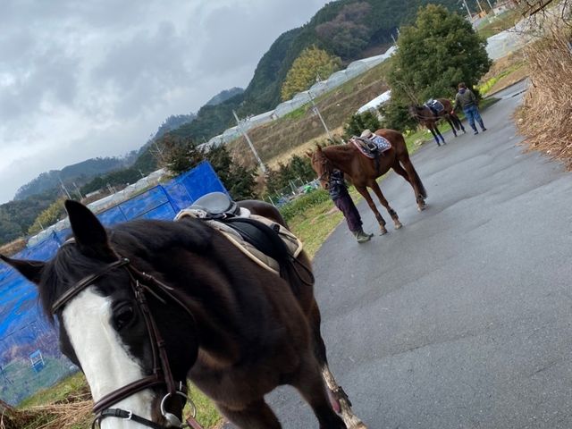 特定非営利活動法人アヴニールファーム