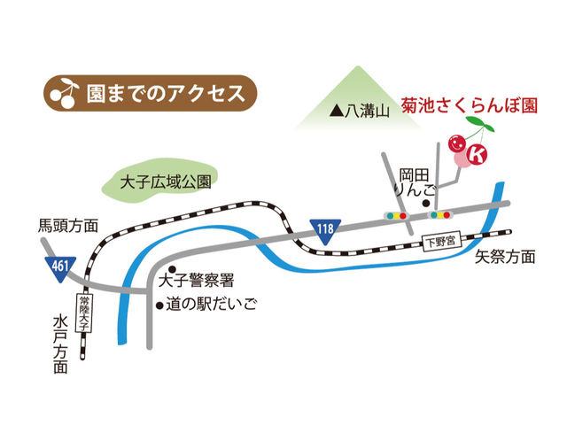 菊池さくらんぼ園