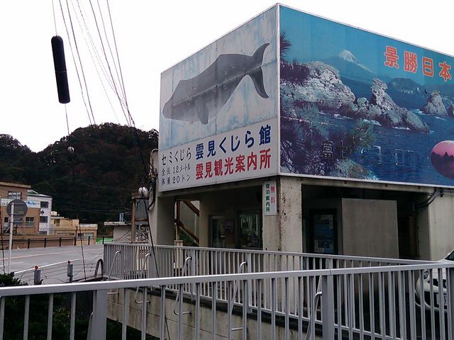 雲見くじら館