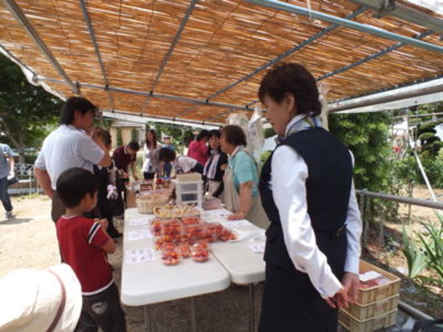 受付 売店_さくらんぼ狩り山口農園