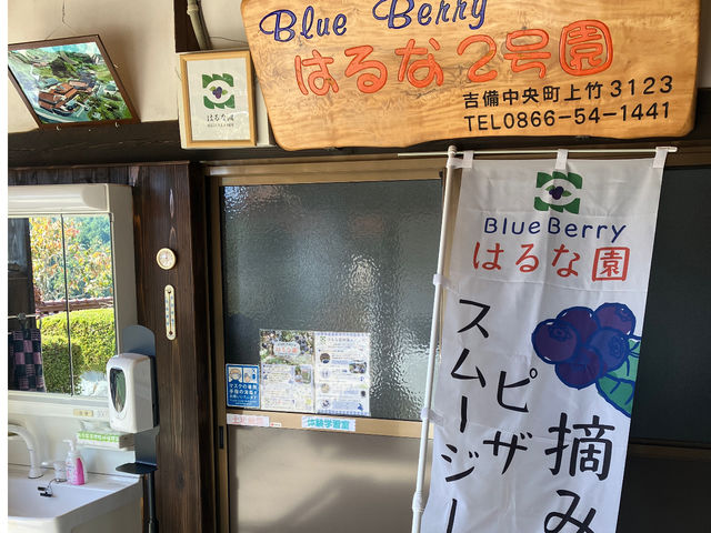 ティフブル-という品種の美味しい晩生です。_BlueBerryはるな園