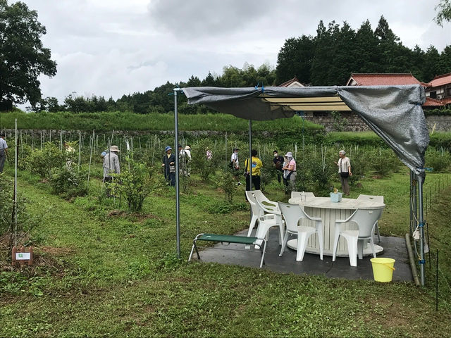 30人の団体様がお見えになりました。_BlueBerryはるな園