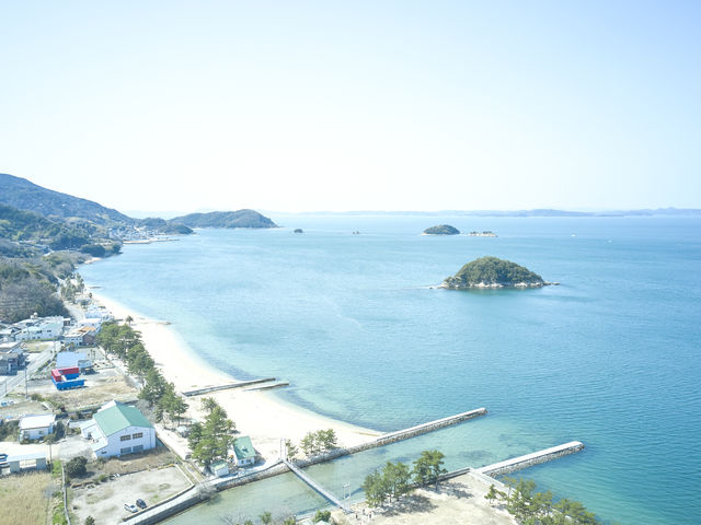 シマアソビ