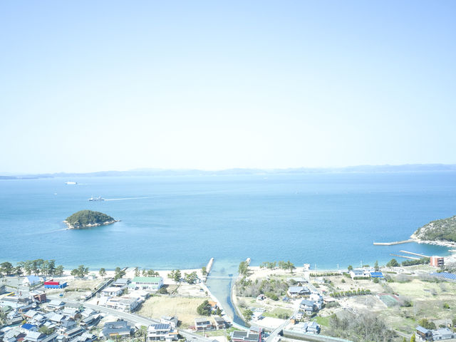 シマアソビ