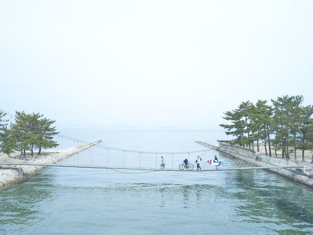 シマアソビ