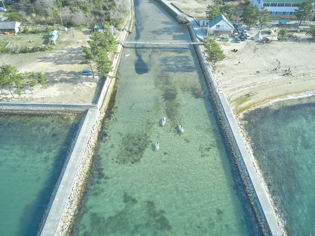 シマアソビ