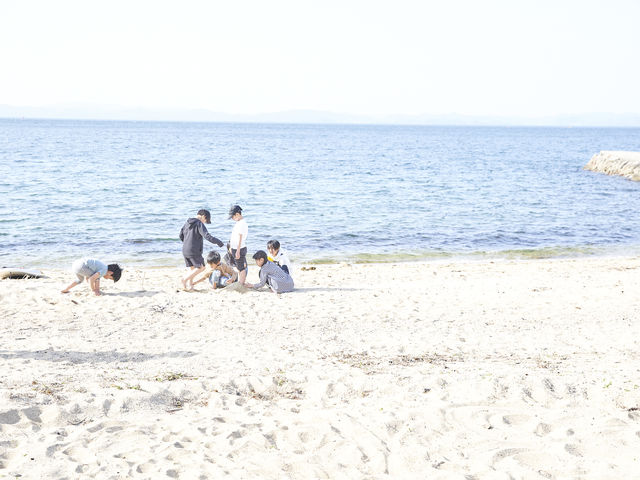 シマアソビ